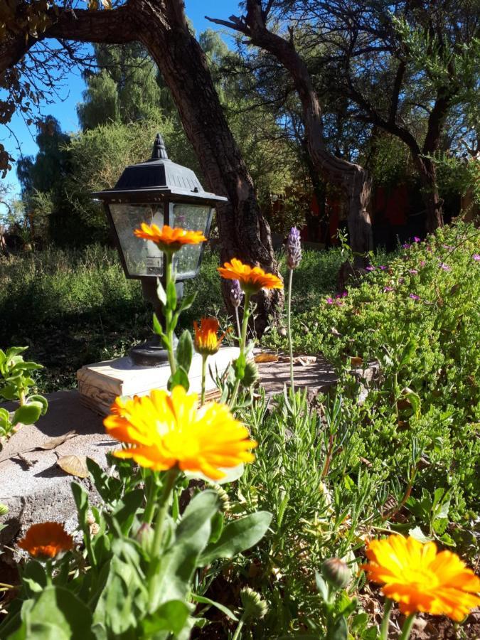Rincon Del Inca Villa San Pedro de Atacama Ngoại thất bức ảnh